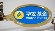品牌基金,涨跌因素与投资策略全解析