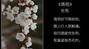 关于大自然的诗句,古韵今风中的自然赞歌”