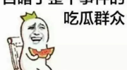 娱乐吃瓜酱你养过什么小众的,揭秘我那些不为人知的小众宠物