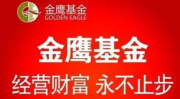 金鹰基金,多元化投资策略与稳健业绩解析