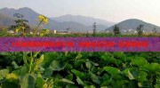 -根本电子学系列13–电容器的类型（91网曝门黑料吃瓜一区）？刚直中期期货开盘买卖韶华是几点到几点